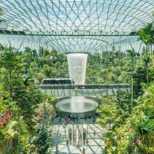 Arrival at Singapore Changi International Airport - Night Safari